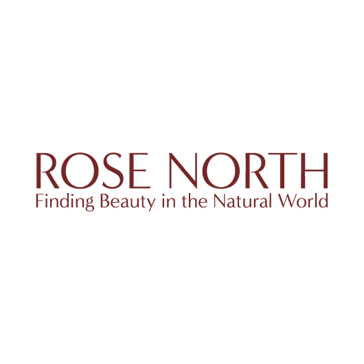 raggeddesign-client-rose-north